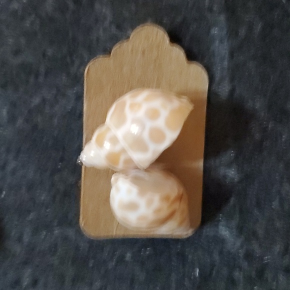 Assorted Shell Earrings - Picture 13 of 16